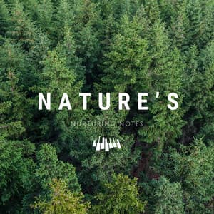 Nature’s Nurturing Notes - Piano Music Spa