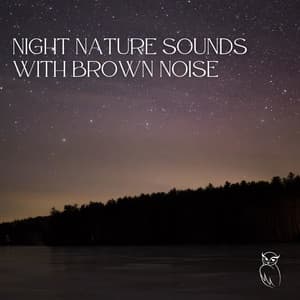 Night Nature Sounds with Brown Noise: Soft Crickets, Owls, Water & Rain, Loopable - Nature Collective