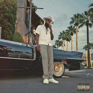 SDS Vibes - Slim Thug