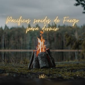 Pacíficos sonidos de fuego para dormir Vol.1 - Sonidos de Fuego para Dormir