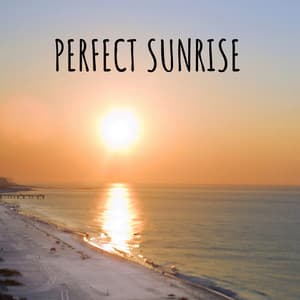 Perfect Sunrise - Masala Roo