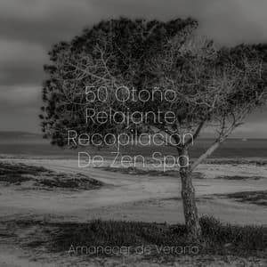 50 Otoño Relajante Recopilación De Zen Spa - Musica Romantica Ensemble