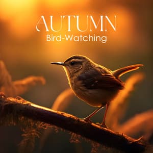 Autumn Bird-Watching: Cozy Relaxing Piano Session - Piano Jazz Masters