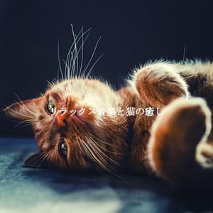 リラックス音楽と猫の癒し - Dîner Jazz