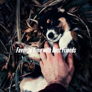 Favorite Time with Best Friends - Music for Dogs Moments