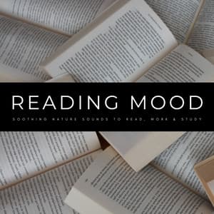 Reading Mood: Soothing Nature Sounds To Read, Work & Study - Work from Home Background Music