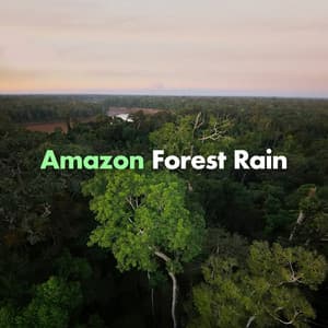 Amazon Forest Rain - Rain Sounds Nature Collection