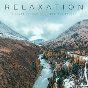 Relaxation: A River Stream Near The Old Forest - Amazon Jungle Sounds