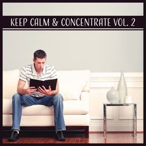 Keep Calm & Concentrate Vol. 2: Deep Brain Stimulation, Study Focus Music to Improve Learning Skills & Relax Before Exam - Improving Concentration Music Zone