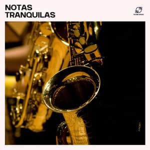 Notas Tranquilas: Jazz Relaxante - Jazz Relaxante