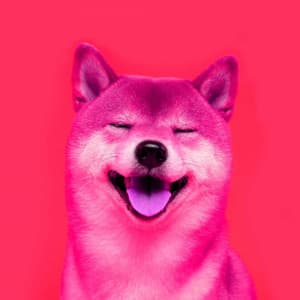 Subtle Music for Lazy Hound - Jazz Quintet - Calming Dog Jazz Classics