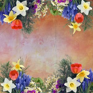 Echoes of Breezy Dreams - New Orleans Jazz Band