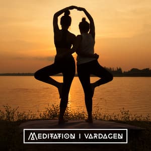 Meditation i vardagen - Avslappnande atmosfär: Få bättre sömn och ett lugnare sinne - Avslappnande Speciell Atmosfär