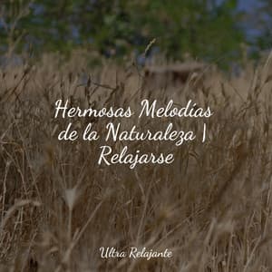 Hermosas Melodías de la Naturaleza | Relajarse - Canciones Para Niños