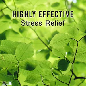Highly Effective Stress Relief - Natural Therapy Music Academy
