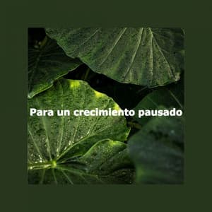 Para un crecimiento pausado - Chill Playlist
