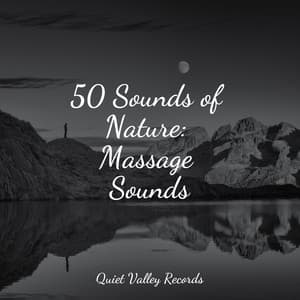 50 Sounds of Nature: Massage Sounds - Nature Chillout