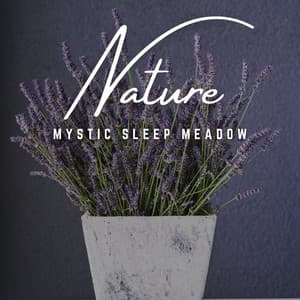 Mystic Sleep Meadow: Nighttime Harmony - Alpha Waves