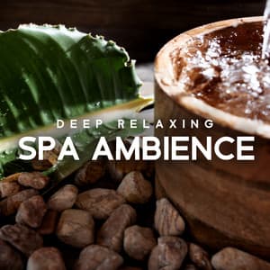 Deep Relaxing Spa Ambience: Healing Therapy Music, Magic Journey, Massage Relaxation Music - Natural Healing Spa