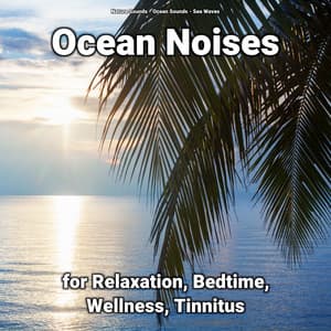 Ocean Noises for Relaxation, Bedtime, Wellness, Tinnitus - Nature Sounds