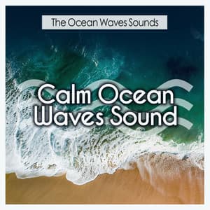 Calm Ocean Waves Sound - The Ocean Waves Sounds