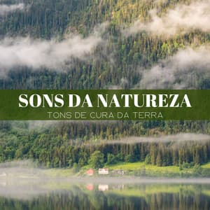 Sons Da Natureza: Tons De Cura Da Terra - Balneario