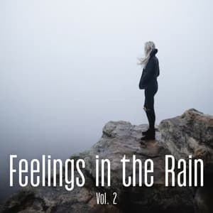 Feelings in the Rain Vol. 2 - Meditation Music For Sleep