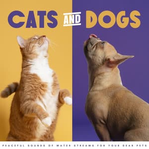 Cats & Dogs: Peaceful Sounds Of Water Streams For Your Dear Pets - Dog Therapy Music