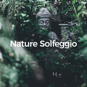 Nature Solfeggio - Masala Roo