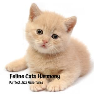 Feline Cats Harmony: Purrfect Jazz Piano Tunes - Coffee House Days