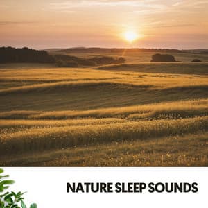 Sonidos de la Naturaleza: La Sinfonía de la Serenidad - The Nature Soundscapes