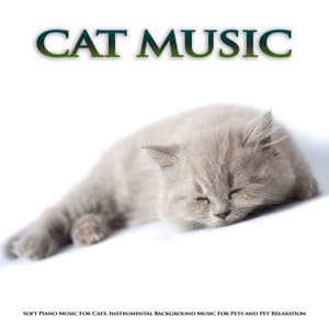 Cat Music: Soft Piano Music For Cats, Instrumental Background Music For Pets and Pet Relaxation - Cat Music