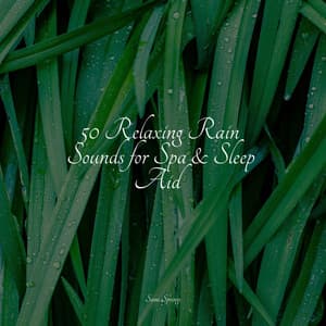 50 Relaxing Rain Sounds for Spa & Sleep Aid - Loopable Sounds for Babies