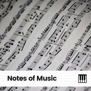 Notes of Music - Study Piano Relaxation