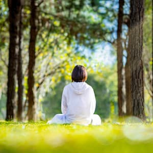 Calming Meditation: Music for the Soul - Serenity Symphony