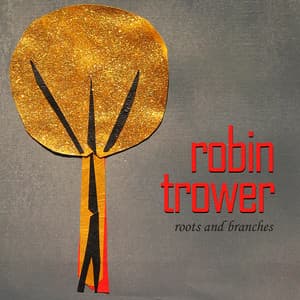 Roots and Branches - Robin Trower