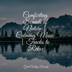 Comforting Sounds of Nature | Calming Music | Tracks to Relax - Ambient Rain