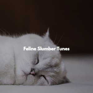 Feline Slumber Tunes - French Cafe Jazz Relaxation