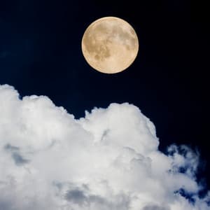 Sounds to Help You Focus and Calm Down - Relaxing Spa Music