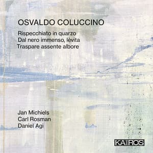 Osvaldo Coluccino: Rispecchiato in quarzo - Osvaldo Coluccino