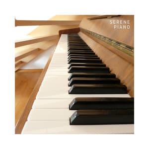 Serene Piano: Calm Instrumental Sounds - Study Music And Piano Music