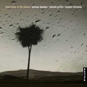 Small Holes in the Silence - Norman Meehan