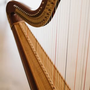 Orchestral Relaxation for Quiet Reflection - Miguel Johnson