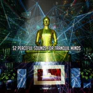 52 Peaceful Sounds For Tranquil Minds - Zen Meditation and Natural White Noise and New Age Deep Massage