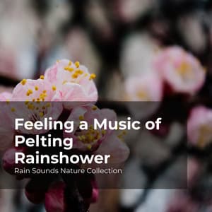 Feeling a Music of Pelting Rainshower - Rain Sounds Nature Collection