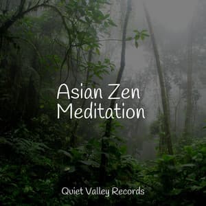 Asian Zen Meditation - Entspannungsmusik