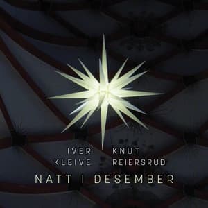 Natt i desember - Iver Kleive