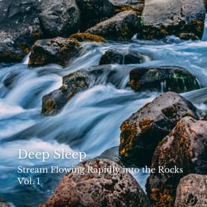 Deep Sleep: Stream Flowing Rapidly into the Rocks Vol. 1 - The Deep Sleep Music Academy