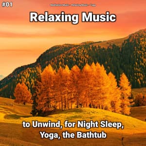 #01 Relaxing Music to Unwind, for Night Sleep, Yoga, the Bathtub - Relaxing music