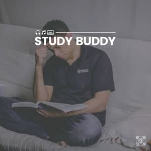 Study Buddy - Working from Home